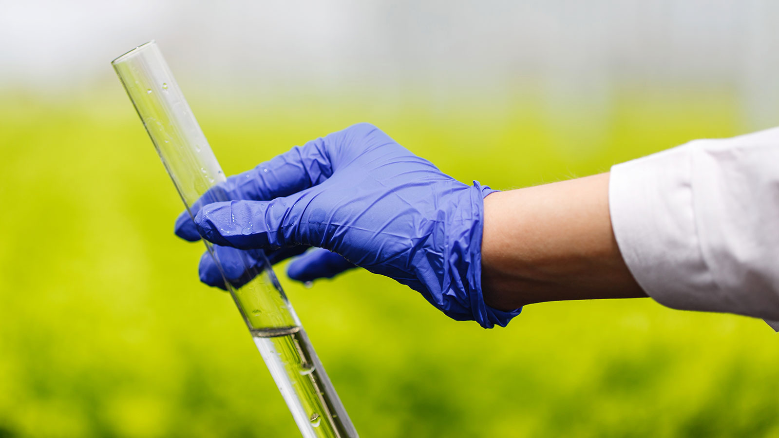 practicas-almacenamiento-plaguicidas-pesticidas